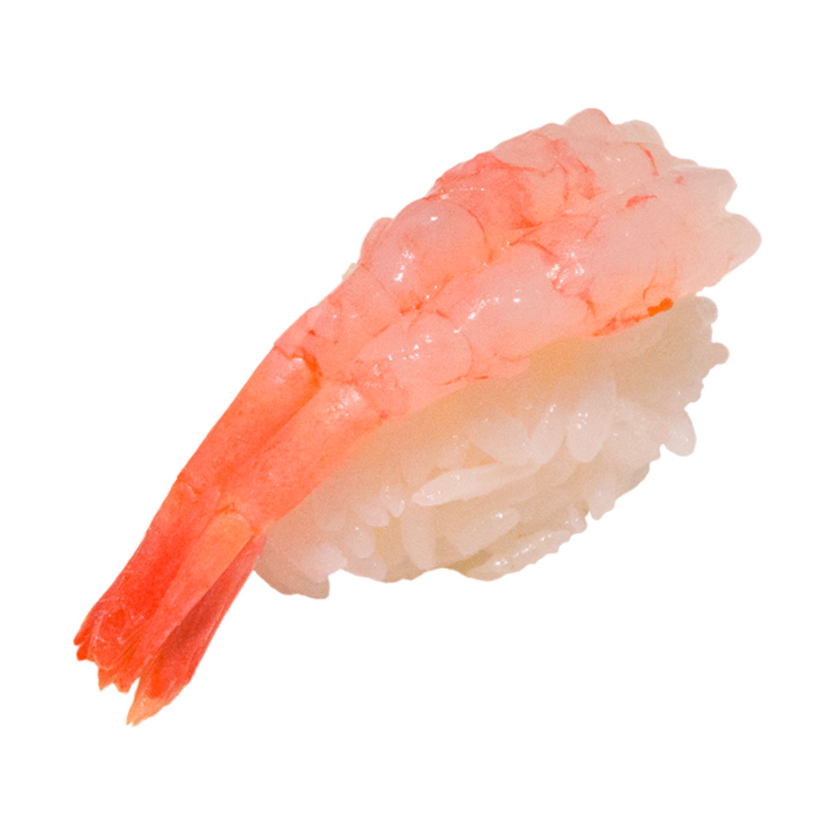 Ama ebi nigiri